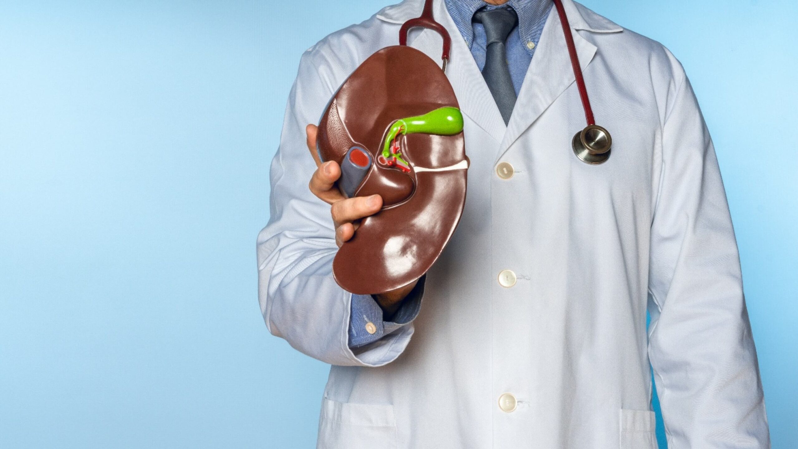 Discover the causes, symptoms, and prevention of fatty liver disease.