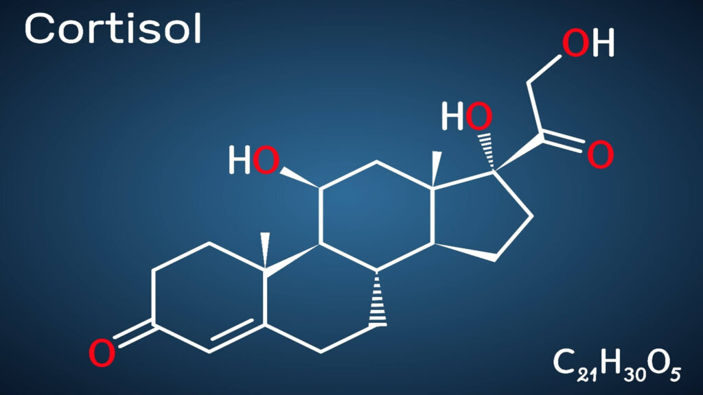 Cortisol: The True Villain of STRESS
