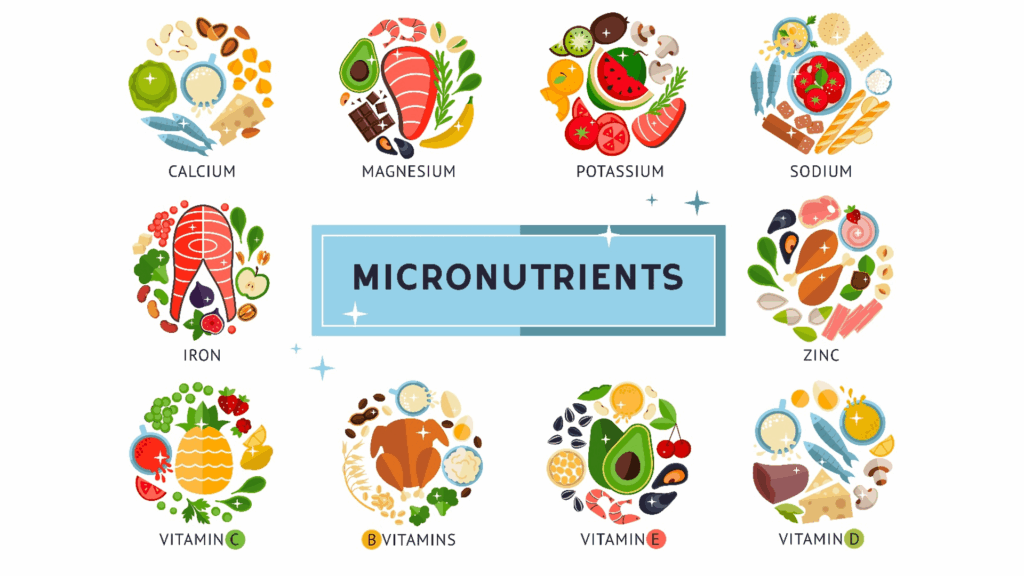 Micronutrients essential for body health and immune support.
